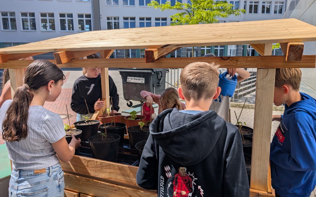Klimarat nimmt Hochbeet in Betrieb