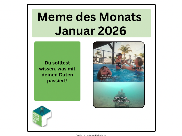 Meme des Monats Januar