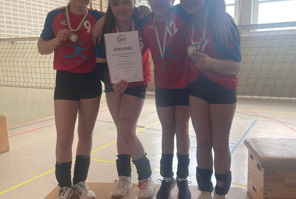 Vizemeister bei den Bezirksmeisterschaften im Volleyball